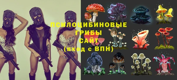метадон Алексин