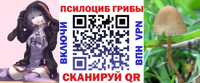 Псилоцибиновые грибы Psilocybine cubensis  blacksprut сайт  Красноуральск 